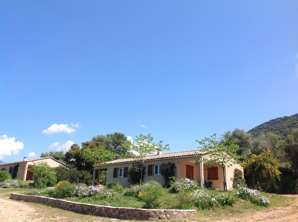 Residence Cucunacciu Cargèse Zimmer foto